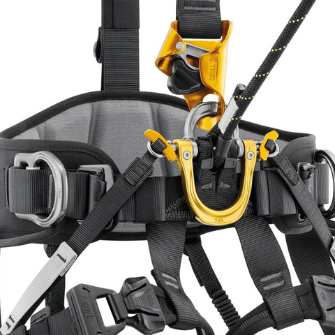 Petzl Astro International Version Black/Yellow 2